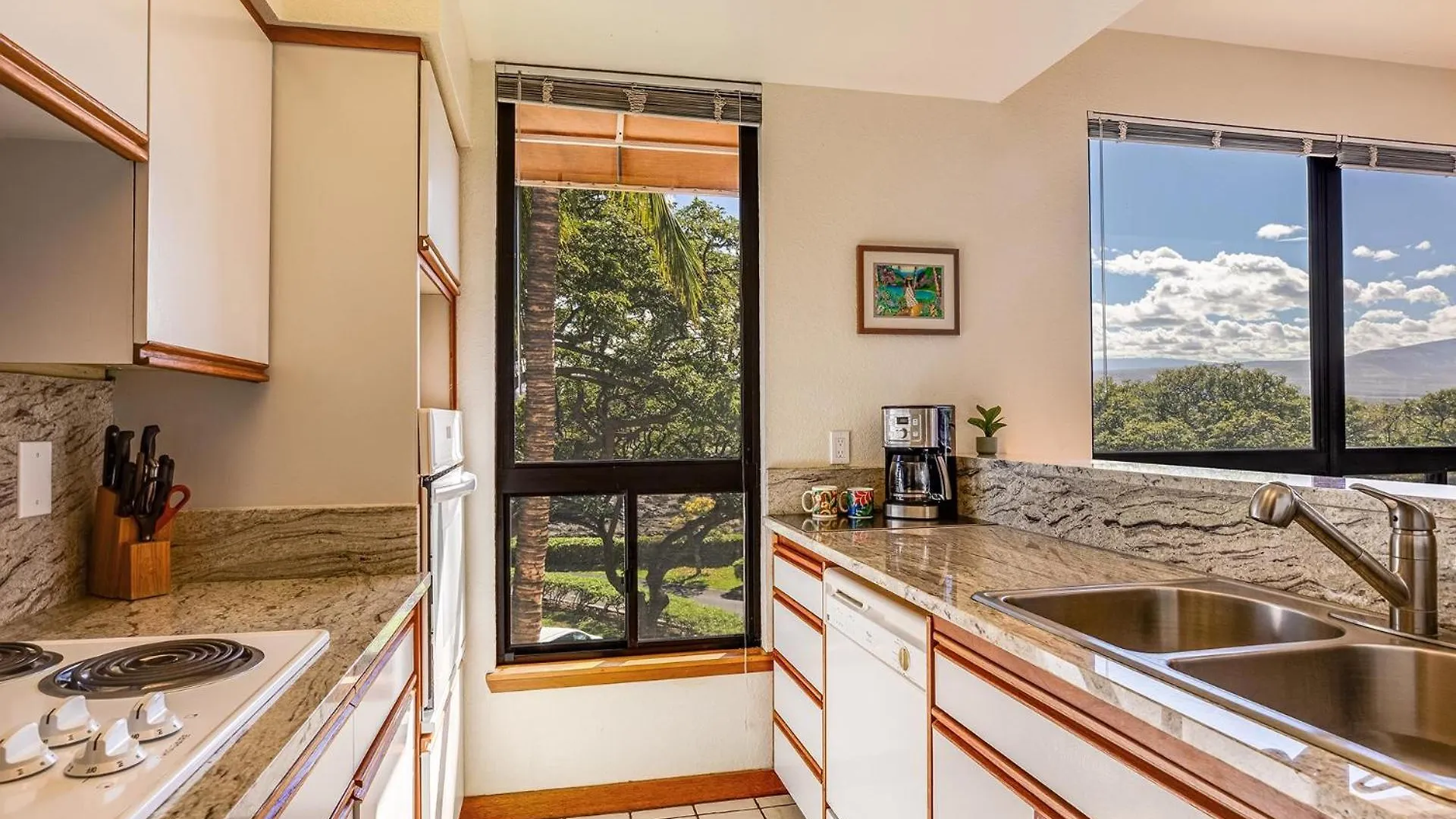 唯客乐渡假村Beautiful Views, Lanai, And Stocked Kitchen!公寓 公寓 唯客乐渡假村